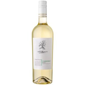 San Marzano I Tratturi Chardonnay Wijn